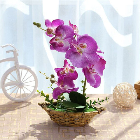 Orchidée Vanda Artificielle | Jardin Éternel