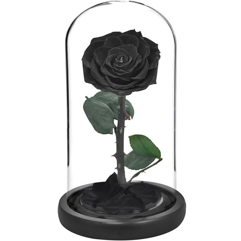 Rose Eternelle Noir | Jardin Éternel