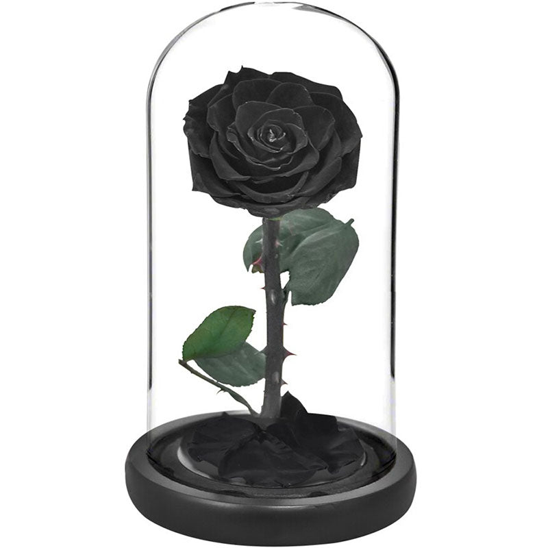 Rose Eternelle Noir | Jardin Éternel