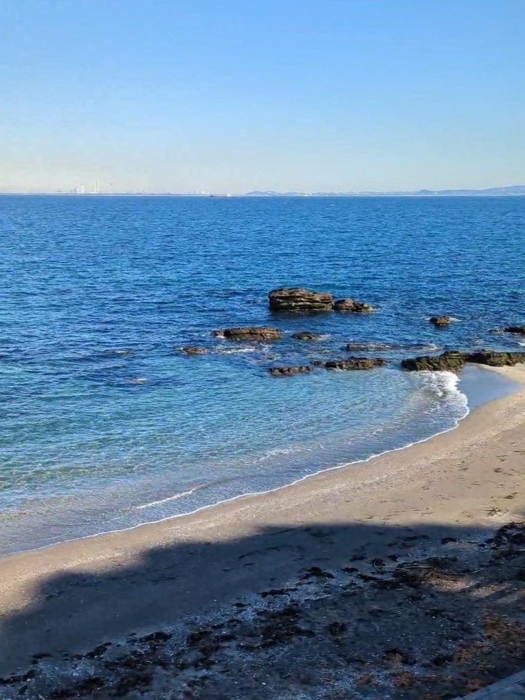 横須賀の海