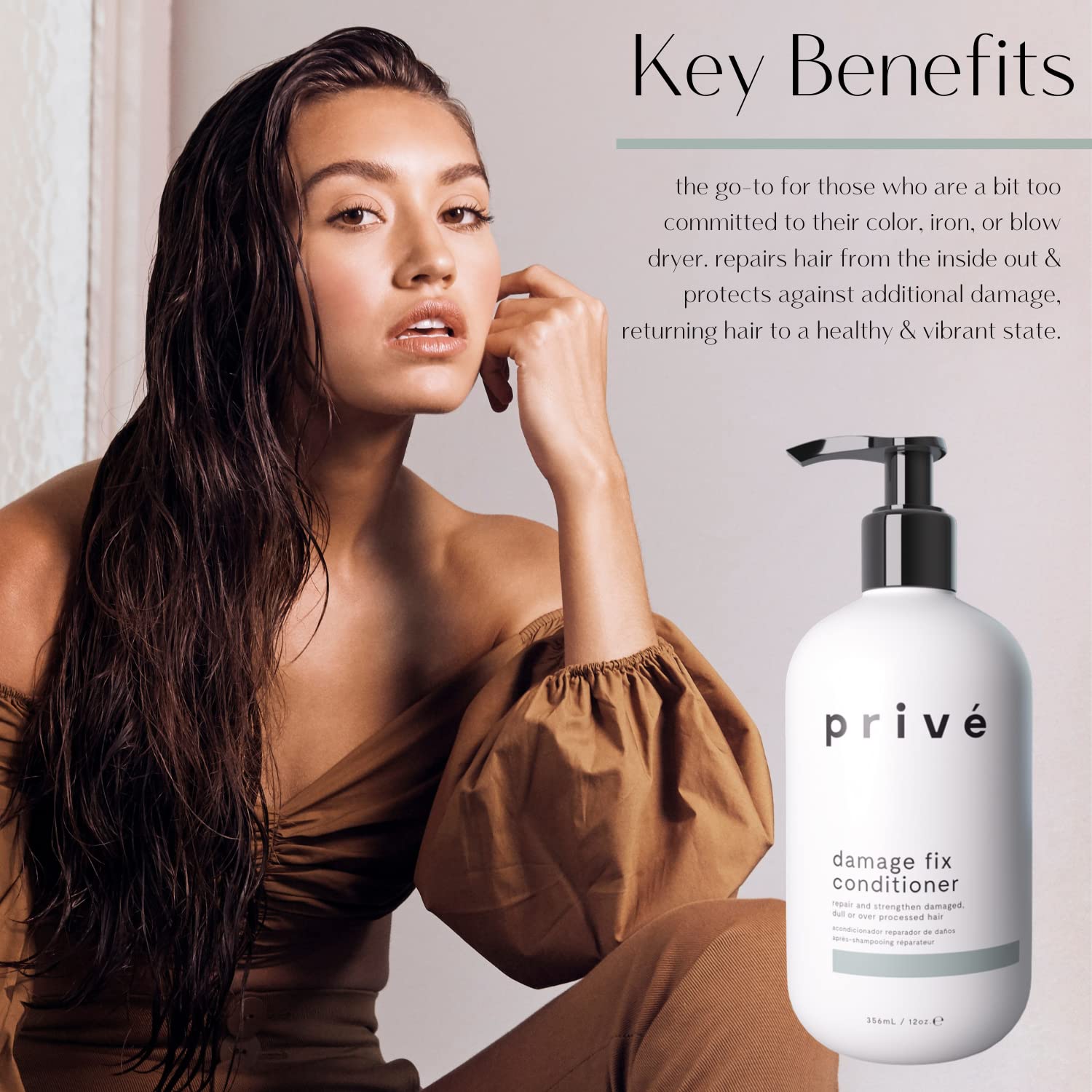 PrivÃ© Damage Fix Conditioner Repair and Strengthen Damaged, Dull or Over Processed Hair from Within â Natural Ingredients â Vegan Cruelty-Free Color-Safe Hair Conditioner for Dry Hair (12 oz / 356 ml)