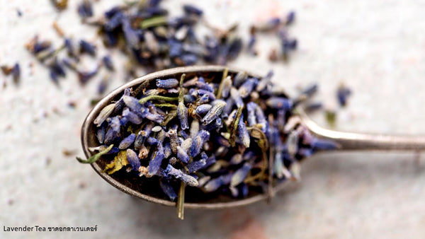 Lavender Tea: ชาดอกลาเวนเดอร์