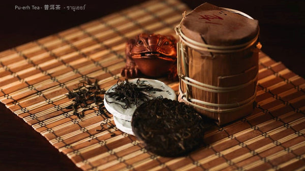 China: Pu-erh Tea 普洱茶 ชาผูเออร์  Pu-erh Tea is a fermented tea produced in Yunnan Province, China.