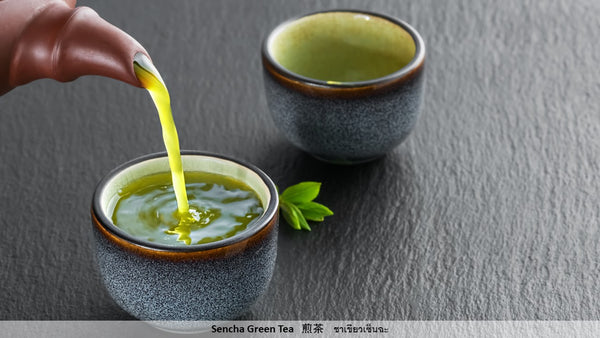 Japan: Sencha Green Tea 煎茶 ชาเขียวเซ็นฉะ Sencha Green Tea is a steamed green tea with a fresh, grassy flavor.