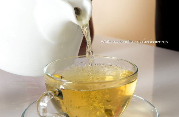 White Tea Health Benefits: ประโยชน์จากชาขาว