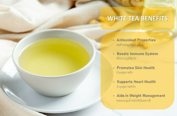 White Tea Health Benefits: ประโยชน์จากชาขาว