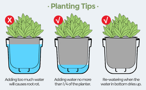 T4U self watering plastic planters principle