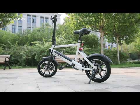 murtisol electric bike