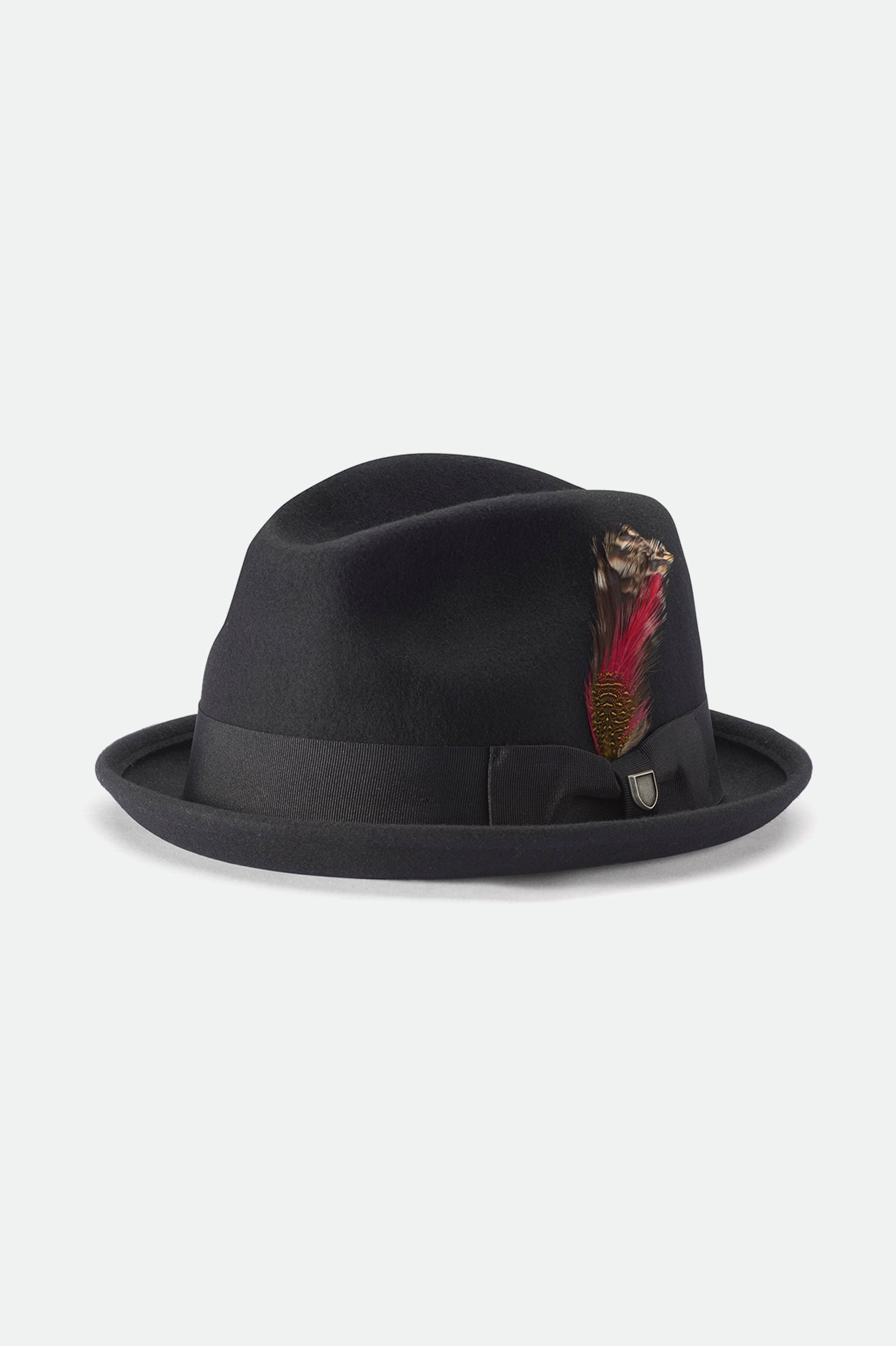 Gain Feather Fedora Hat - Black – Brixton Europe