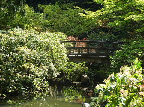 Bridge in Portland Japanese Garden surrounded by trees and flowers