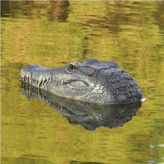 crocodile head remote control boat