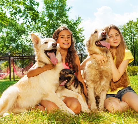 Kids hugging their golden retriever