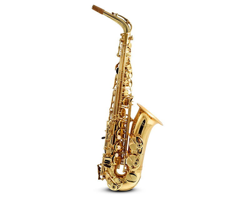 E Flat Alto Saxophone Brass Body Student KAS102