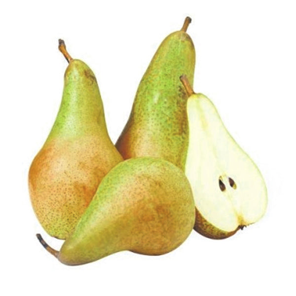 Golden Italian Bosc Pears