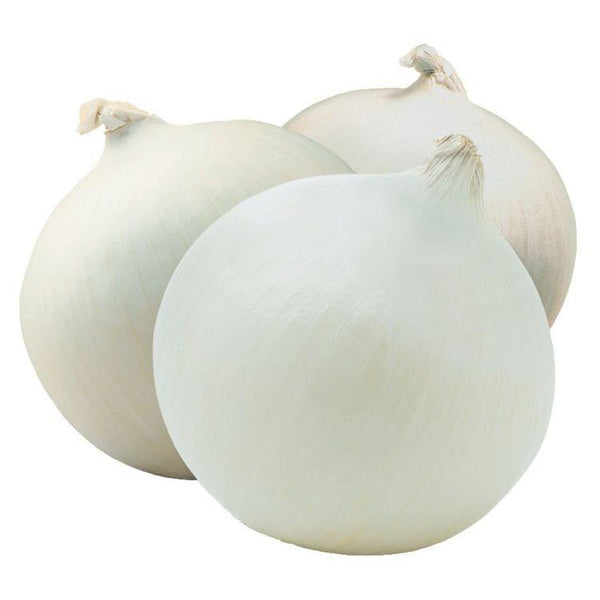 Country Fresh Red Onion 10LB