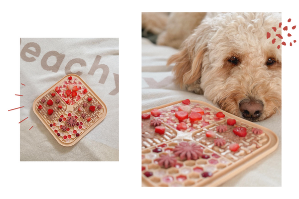 Kyra the golden doodle and her lick mat