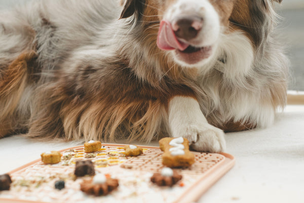 Peachy Dogs Chill Licking Mat