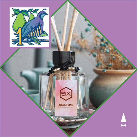 Awakening Reed Diffuser Gift Set by Scent by SIX