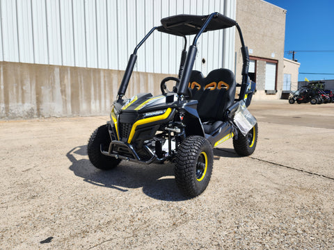 Go Karts for Sale, Off-Road Go Karts, Buggy on Best Price