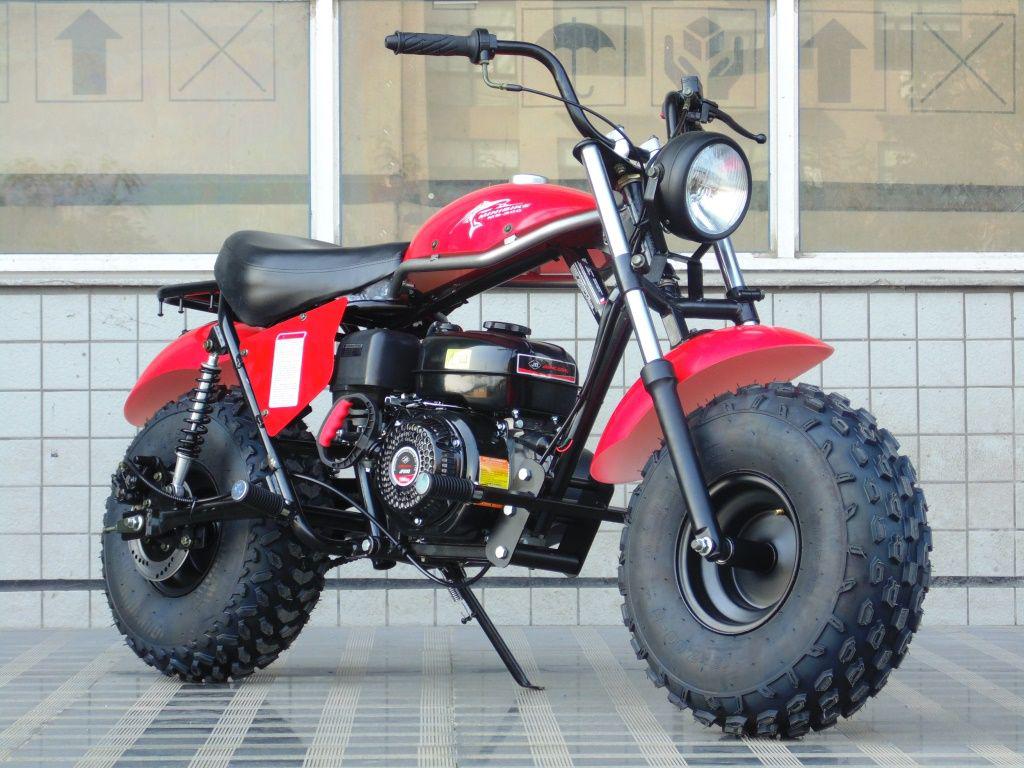 dier Hond Absorberen TrailMaster MB200-2 - TrailMaster Minibike | MotoBuys