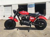 trailmaster monster dog ii mini bike