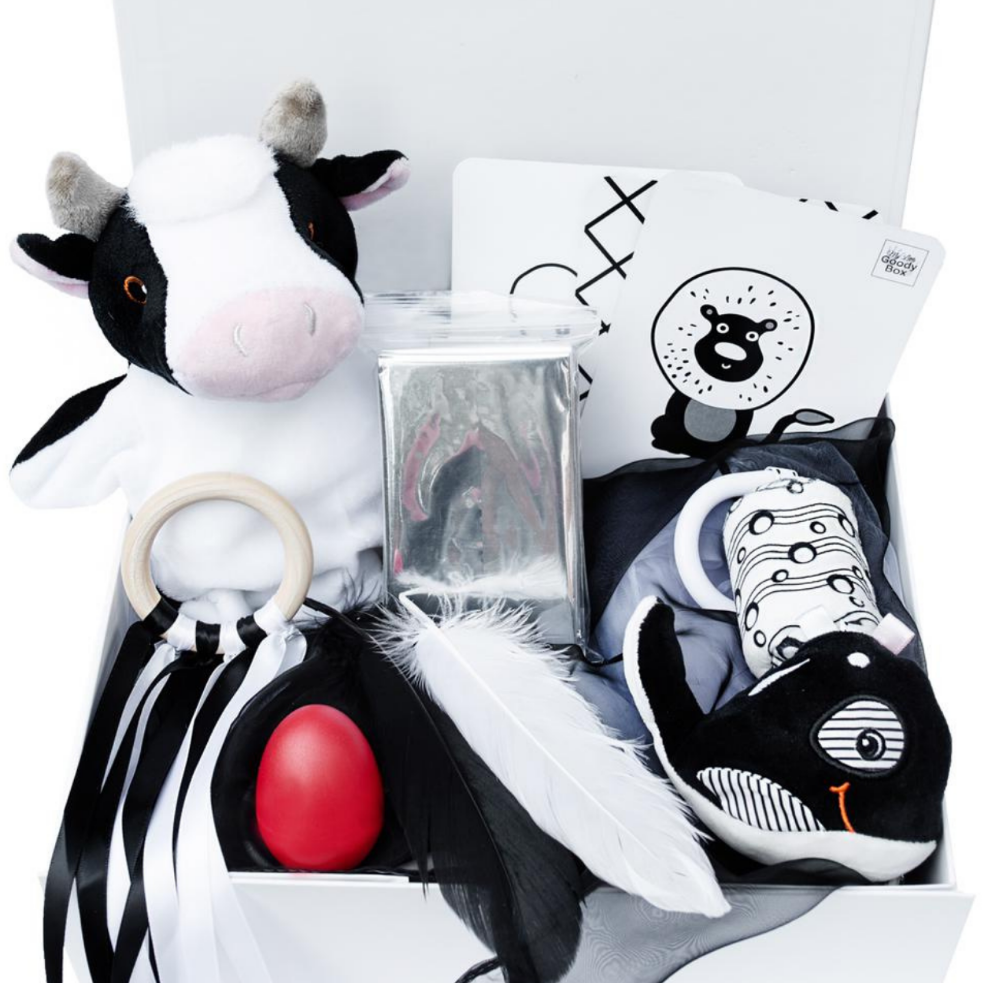 The Best Black And White Toys For Babies