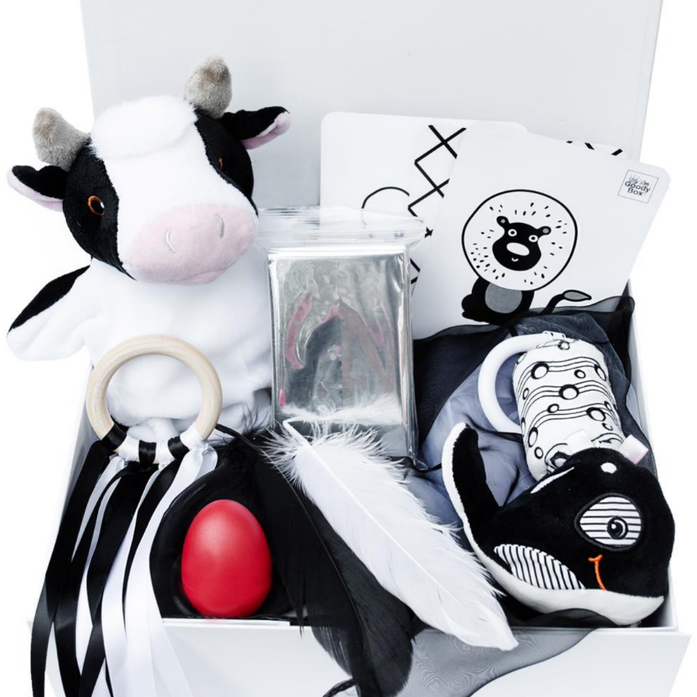 Black & White Sensory Bin for Babies 