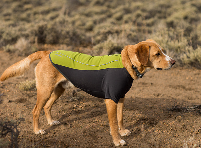 ruffwear cloud chaser