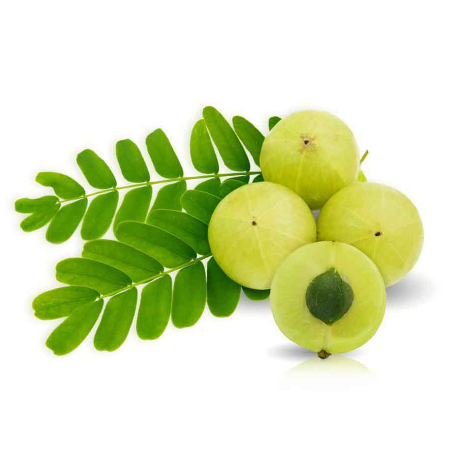 Buy Amla / Indian Gooseberry, Vegetables at discounted prices online | Anata India