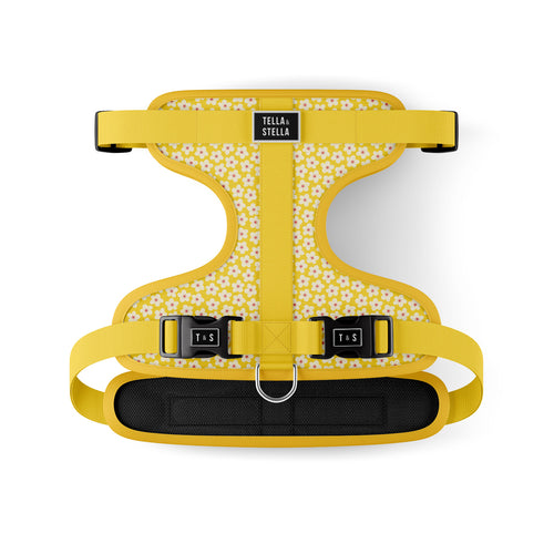 Harnais ajustable pour chien Florence
