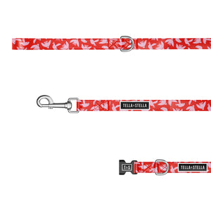 Duo collier et laisse pour chien Cuicui