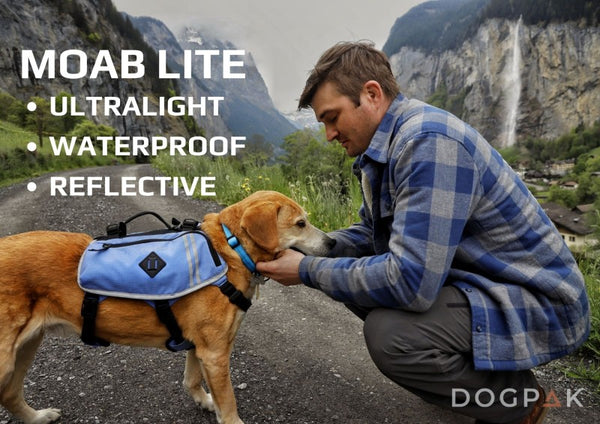 A man and his dog hiking in the beautiful Swiss Alps, the dog wearing the Moab Lite dog backpack