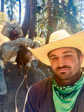 Cowboy leading a pack team of mules in Sequoia National Park