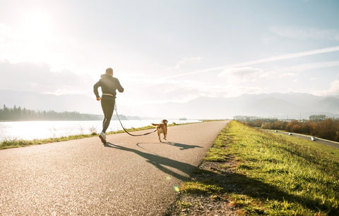 Man running Canicross on a road with his dog on a leash attached around the man's waist