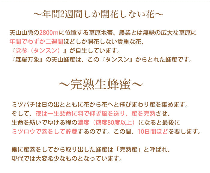森羅万象 天山蜂蜜 600g 年間でわずか二週間ほどしか開花しない貴重な花のハチミツ