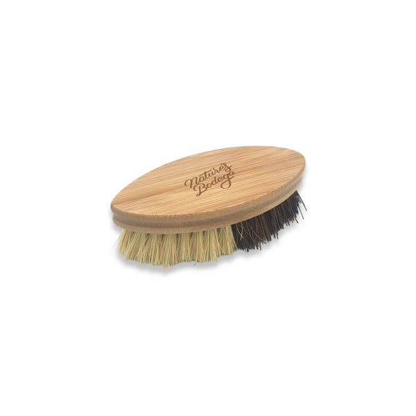 Beyond Gourmet Natural Bristle Vegetable and Dish Brush with Handle