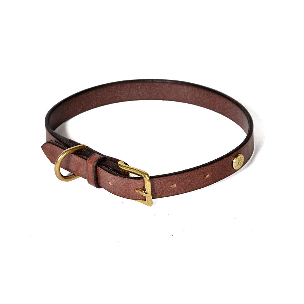 flat dog collar