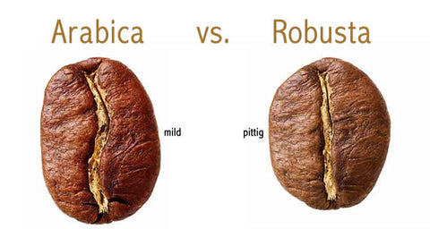 Arabica koffiebonen - Robusta koffiebonen - kenmerken en verschillen. Proef Koffiebonen - Decaf Koffiebonen - de lekkerste koffiebonen