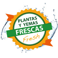 Plantas e botões frescos