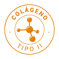 Colágeno Tipo II