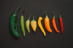 Colorful Chili Peppers in a row from green to yellow to orange to red on a black background