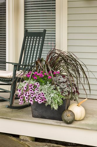 Dark Colored Planter on Porch Sunny with Thunderstorms