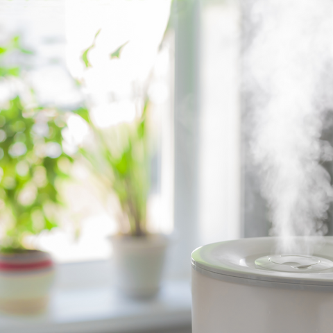 humidifier near plants