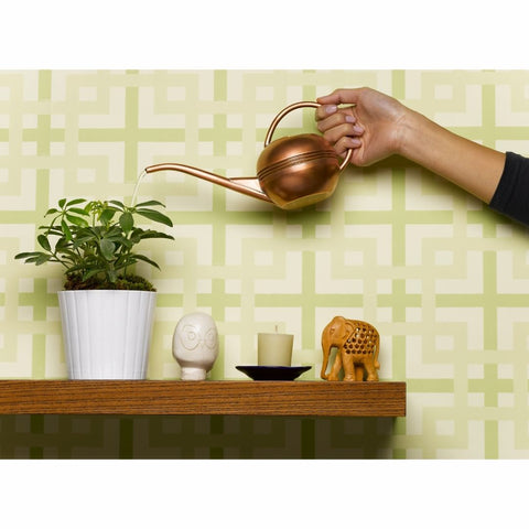 woman watering plant with watering can