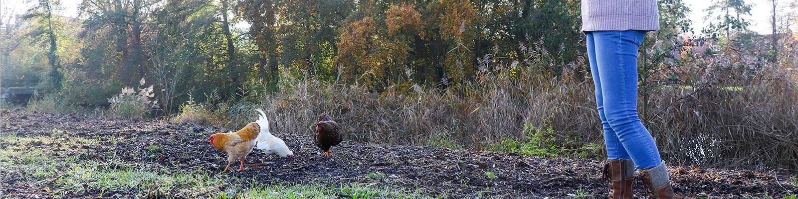 sustainable-living-mud-jeans-marjolein-in-het-klein-chicken