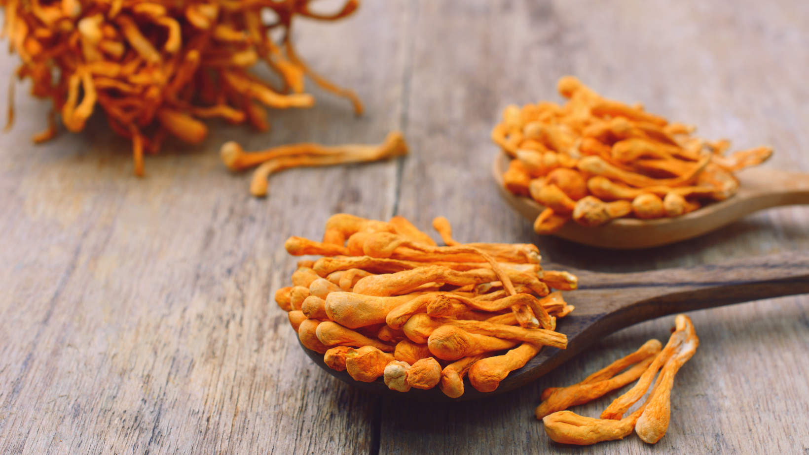 Cordyceps in a spoon