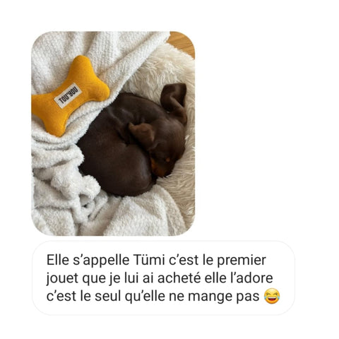 tou'you jouet pour chiot fait en france naturel resistant