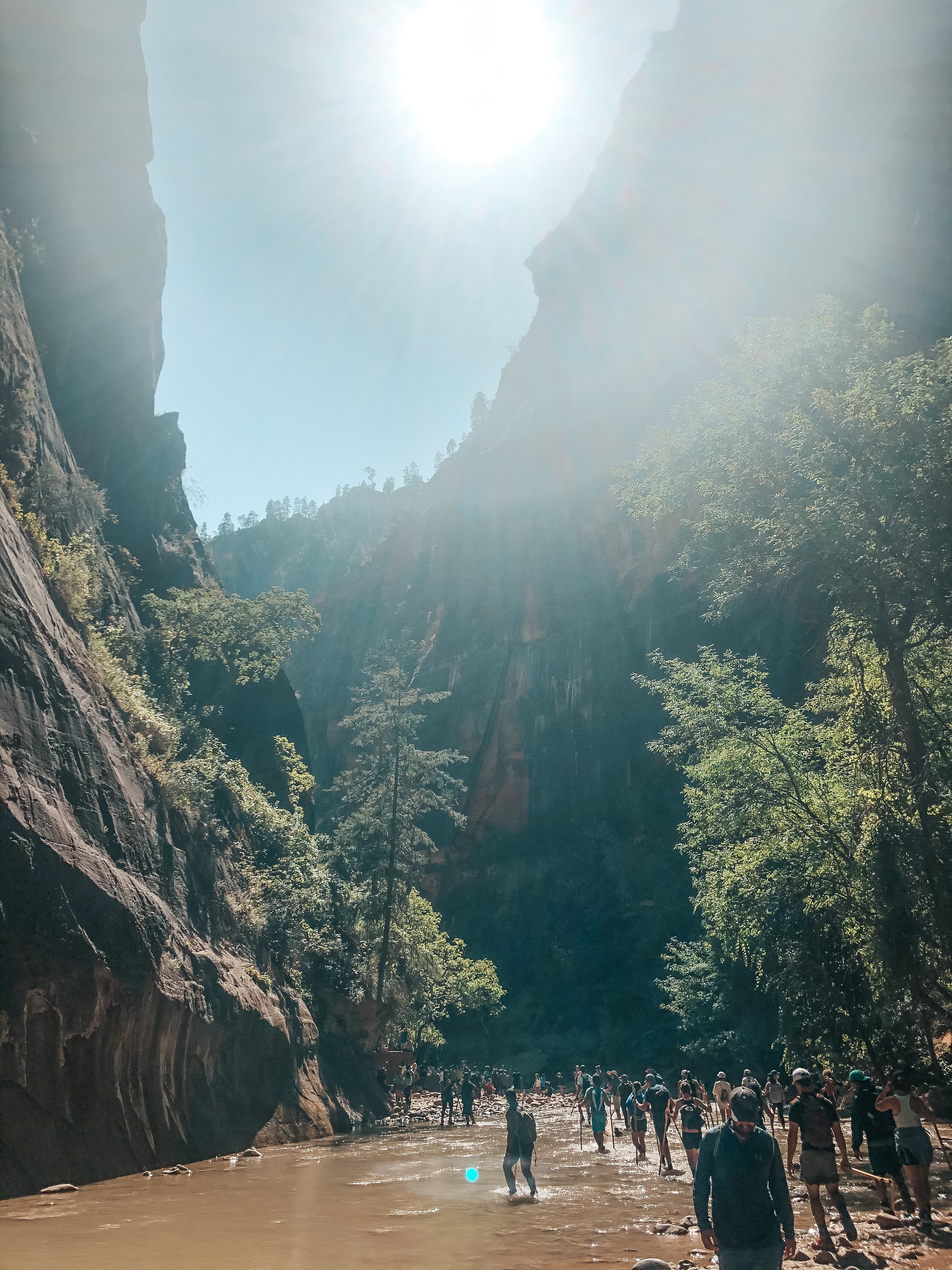 Pilgrimage through the narrows