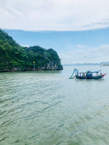 Ha long bay view from window