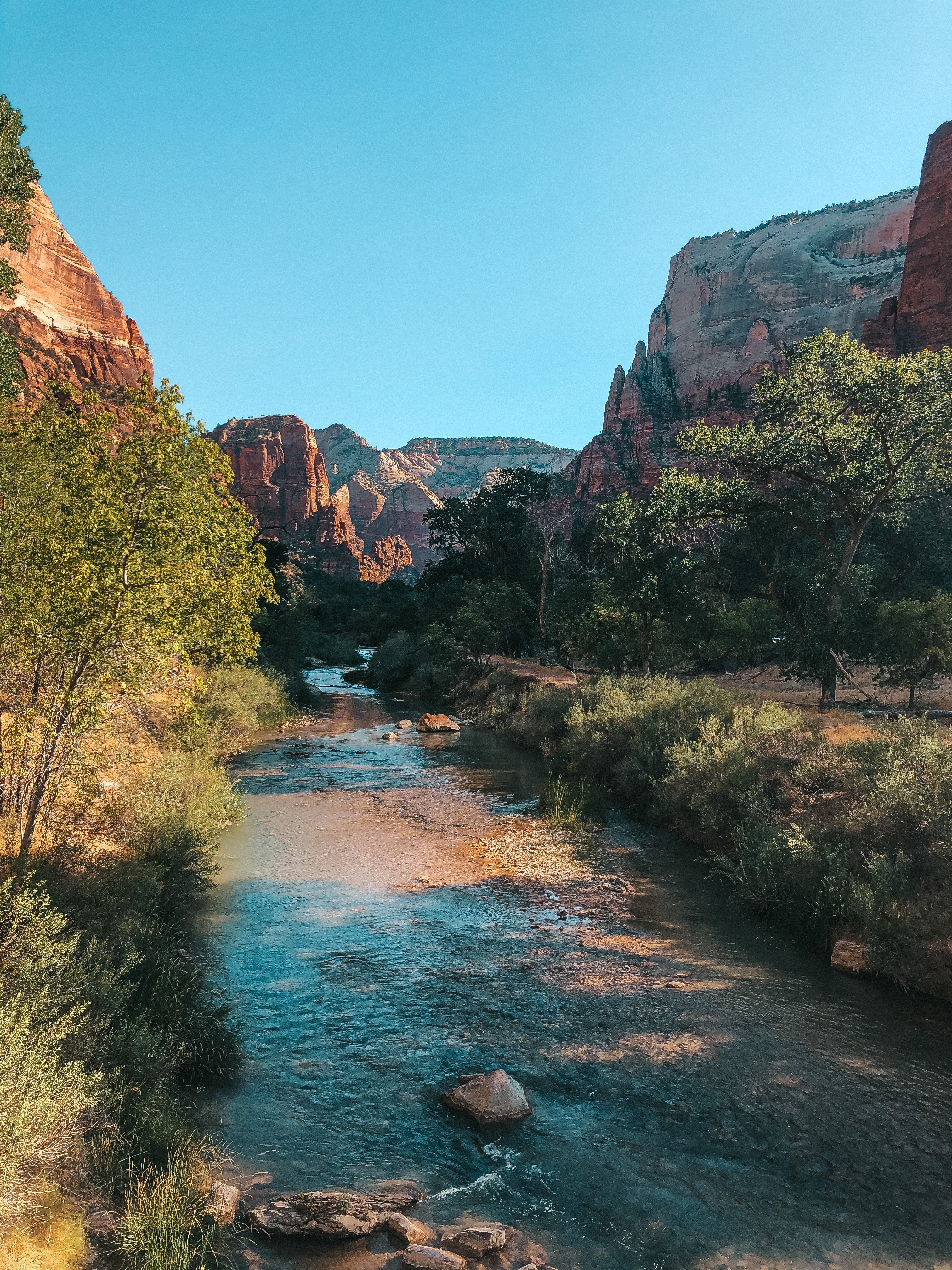 zion national park view